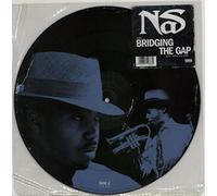 Nas - Bridging the Gap