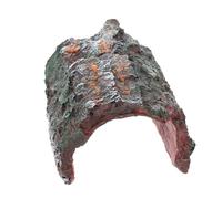 Nascondiglio Dei Rettili Per Arrampicarsi Delle Lucertole