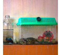 Nascondiglio Dei Rettili Per Reptile Nascondere La Grotta Arredamento Acquari