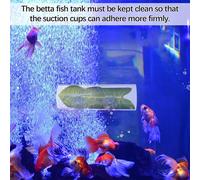 Nascondiglio per la deposizione delle uova di Betta, accessorio per