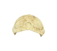 Nascondiglio Rettili Grotta Dei Pelle Geco Reptile Nascondere La