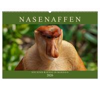 Nasenaffen von Borneo (Wandkalender 2026 DIN A2 quer), CALVENDO Monatskalender: Das aufregende Leben der Nasenaffen in Borneo