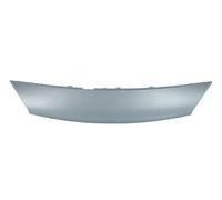 Naso Cofano Per: RENAULT GRAND SCENIC II Ph I, SCENIC II Ph I 06.03-10.06
