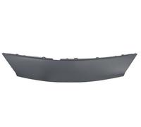 Naso Del Cofano Si Adatta A: RENAULT SCENIC II Ph I 06.03-08.06