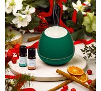 Nasoterapia Kit Aria di Festa - Diffusore a Ultrasuoni Ghianda Verde c