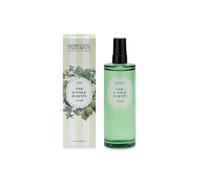 Nasoterapia Lime e Foglie di Menta - Energia Spray Ambiente, 100ml