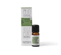 NASOTERAPIA Olio Essenziale Eucalipto Radiata Bio 10 ml