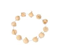 NASSMOSSE Ghirlanda di Aglio su Collana per Costume da ammazzavampiri