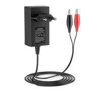 NASTIMA Caricabatterie 7,3V 1000mA LiFePO4 per Batterie LiFePO4 da 6V 4Ah/4,5Ah/6Ah/7 Ah/12Ah, Protezione da Cortocircuito, Sovracorrente e Sovratensione, con Spia di Ricarica