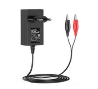 NASTIMA Caricabatterie al piombo sigillato 6V 0,5A per batteria Moultrie con clip rosse e nere e indicatore luminoso a LED