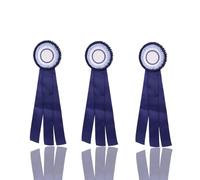 Nastri premio Blankk 3 pezzi, nastri premio rosetta 1° 2° 3° | Artigianato con nastri pregiati, blu e rosso opzionali, portatile leggero, per giochi sportivi scolastici