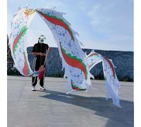 Nastro 3D Dragon Poi con spirale Streamer per arti di flusso e performance