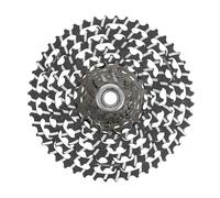 Campagnolo Record X Wrl Cassette Argento 13s / 10-48t Silver