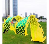 Nastro da lancio a forma di drago verde Dragon Poi, bandiera da danza artistica con design a forma di drago e borsa da viaggio, nastri rotanti a forma di drago for eventi, celebrazioni e giocoleria.(8