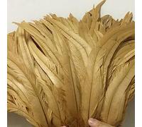 Nastro di piume coda, frange, 100 pezzi grezze code pennacchi decorazioni for la casa artigianato centrotavola for feste matrimonio accessori(Gold)