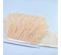 Nastro di piume di struzzo naturale da 8-10 cm, 2 m, bellissime piume da matrimonio, nastri di pizzo, artigianato fai da te, decorazioni per abiti da cucito e feste - champagne