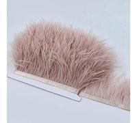 Nastro di piume di struzzo naturale da 8-10 cm, 2 m, per matrimoni, artigianato, fai da te, per feste, cucito, abbigliamento, decorazioni, polvere di cuoio