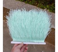 Nastro di stoffa per decorazioni da festa con frange di piume di struzzo naturali da 1/5/10 metri, per abiti da donna, di qualità, con piume morbide, per matrimoni, gonne, feste - Verde menta