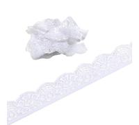 Nastro in pizzo elasticizzato da 10 m, bordo in pizzo, 25 mm, bordo in pizzo, nastro decorativo per cucito, accessori per il cucito, biancheria intima, colore bianco
