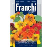 NASTURZIO Nano Multicolore