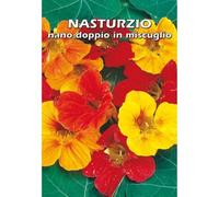 NASTURZIO rampicante in miscuglio (SEMI DA FIORE)