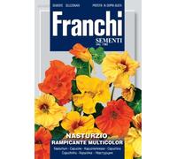 NASTURZIO RAMPICANTE Multicolore