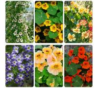 nasturzio semi di giardino estivi semi di selvatici balcone resistenti tetti verdi 400pcs