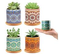 Nasxkji Vaso per piante grasse con vassoio in bambù, 4 pezzi, piccoli vasi per piante da 7,3 cm, motivo mandala, per interni e mini piante e piantine