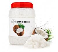 Nata di Cocco 2,5 KG - Cubetti di Cocco in Sciroppo | Ideale per Bubble Tea, Dessert e Yogurt (NATA DI COCCO)