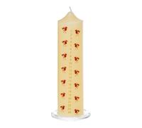 Natale Advent Candela Con Pettirosso Immagine Su Vetro Vassoio 20cm - Crema