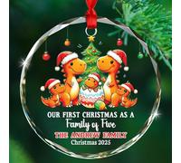 Natale Ciondolo Our First As A Family Of Five Dinosaur Appeso Ornamento Ideale Palline Per Albero Di Natales Alta Qualità Decorazioni Natalizie Per Party Cerimonia Bambini 7.3 CM