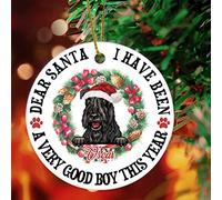 Natale Ciondolo Personalized Pet Dear Santa I Have Been Very Good This Year Tibetan Mastiff With Santa Hat Appeso Ornamento Ideale Addobbi Natalizi Ornamenti Decorazioni Natalizie Per 7.3CM