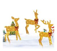 Natale illuminato per esterno | 3 pezzi decorazione stagionale acrilica 2D illuminata - decorazione natalizia per giardino - per giardino anteriore, veranda cortile posteriore ingresso inverno