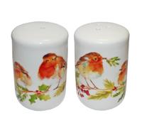 Natale Pepiera Set Sale E Pepe Pentole Regalo Scatola Stoviglie - Inverno Robin