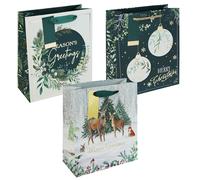 Natale Sacchetti Regalo Con Etichette Set Di 3 Verde Mix 25.5cm x 21.5cm x 10cm