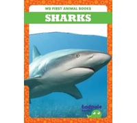 Natalie Deniston Sharks (Copertina rigida) My First Animal Books