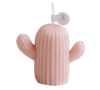 natalizie, per aromaterapia cactus, di cactus, di soia, di di soia per la casa, profumate per le donne