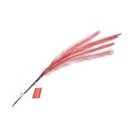 Nataluna TLY Ramo Piuma Rosso 70cm 323413301, Come Foto, Unica