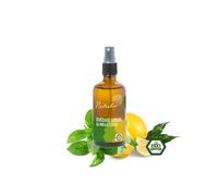 Natasha Profumatore per ambienti - Menta e limone (100 ml) - allevia lo stress e le tensioni