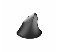 Mouse verticale wireless per mancini Natec Crake 2 2400 DPI nero