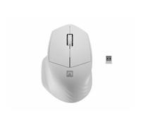 Natec Mouse Senza Fili Natec Siskin 2 Bianco T_0301_S9123601 Informatica