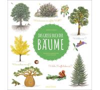 Nathalie Tordjm Das große Buch der Bäume: Wunderschön farbig (Copertina rigida)