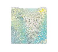 Nathan Fake Providence (Vinyl LP) 12" Album