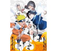 Nathan - Puzzle da 1000 pezzi - Naruto vs. Sasuke - Adulti e bambini a partire dai 14 anni - Puzzle di alta qualità - Adattamento perfetto - Manga, anime - Collezione My Heroes - 12000906