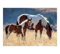 Nathan - Puzzle da 1500 pezzi - Cavallo e puledro - Adulti e bambini a partire dai 14 anni - Puzzle di alta qualità - Misura perfetta - Collezione Wild Life - 12000928