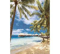 Nathan - Puzzle da 500 pezzi - Spiaggia di Bora Bora, Polinesia francese - Adulti e bambini dai 12 anni - Puzzle di alta qualità - Collezione Evasion - 12000972