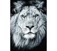 Nathan- Puzzle per Adulti, 12000893