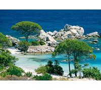 Ravensburger- Nathan Puzzle per Adulti, 12000914