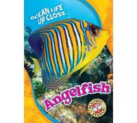 Nathan Sommer Angelfish (Copertina rigida) Ocean Life Up Close