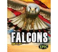 Nathan Sommer Falcons (Copertina rigida) Birds of Prey